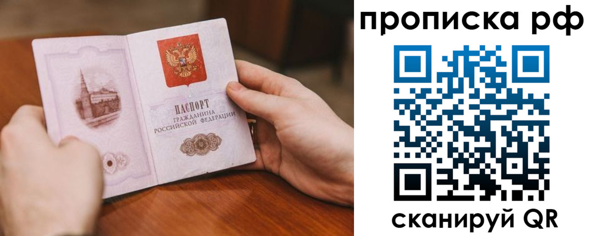 прописка поиск в Вологодской области